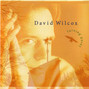 Il testo della Right now David Wilcox
