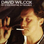 Il testo della Shake it baby David Wilcox