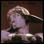Il testo della Death is the martyr of beauty Death In June