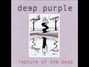 Il testo della Rapture Deep Purple