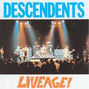 Lyrics of All-o-gistics Descendents