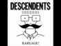 Il testo della Sad state of affairs Descendents