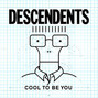Il testo della She don't care Descendents
