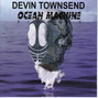 Il testo della Voices in the fan Devin Townsend