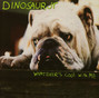 Il testo della The little baby Dinosaur Jr.
