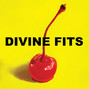 Il testo della Would that not be nice Divine Fits