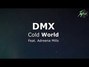 Paroles de Cold world Dmx