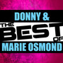 Il testo della Puppy love Donny Osmond