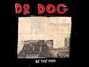 Il testo della Big girl Dr. Dog