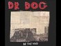 Il testo della What a fool Dr. Dog