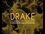Lyrics of The language (chris rishard remix) Drake