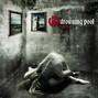 Il testo della No more Drowning Pool