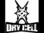 Il testo della The lie Dry Cell
