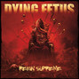 Il testo della Second skin Dying Fetus