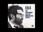 Il testo della Dead reckoning Eels