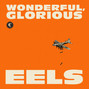 Il testo della Wonderful, glorious Eels