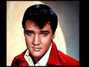 Il testo della Fountain of love Elvis Presley
