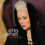 Il testo della Welcome to the jungle Etta James
