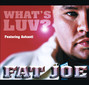 Lyrics of What's luv? Fat Joe