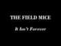 Lyrics of It isn't forever Field Mice