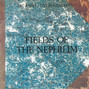 Il testo della Endemoniada Fields Of The Nephilim