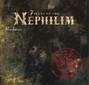 Il testo della Last exit for the lost Fields Of The Nephilim