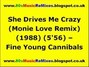 Il testo della She drives me crazy (the monie love remix) Fine Young Cannibals