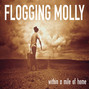 Il testo della To youth (my sweet roisin dubh) Flogging Molly