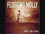 Il testo della To youth Flogging Molly