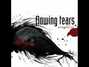 Il testo della Firedream Flowing Tears