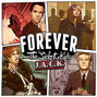 Il testo della Rebel Forever The Sickest Kids