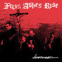 Il testo della Bloodlust From Ashes Rise