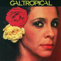 Il testo della Meu nome é gal Gal Costa