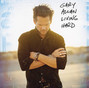 Il testo della She's so california Gary Allan