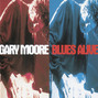 Il testo della The sky is crying Gary Moore