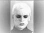 Lyrics of Friends Gary Numan