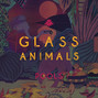 Il testo della Pools Glass Animals