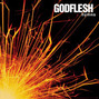 Il testo della Deaf, dumb & blind Godflesh