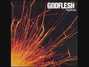 Il testo della For life Godflesh