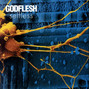 Paroles de Heartless Godflesh