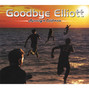 Il testo della Running to california Goodbye Elliott