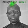 Il testo della La la land Green Velvet