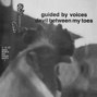 Il testo della Crux Guided By Voices