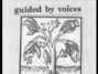 Il testo della Non-absorbing Guided By Voices