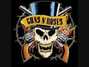 Il testo della Twat Guns 'n' Roses