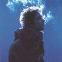 Lyrics of Beautiful Gustavo Cerati