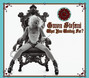 Il testo della What you waiting for? Gwen Stefani