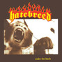 Il testo della Kill an addict Hatebreed