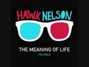 Il testo della Meaning of life Hawk Nelson