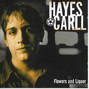 Il testo della It's a shame Hayes Carll